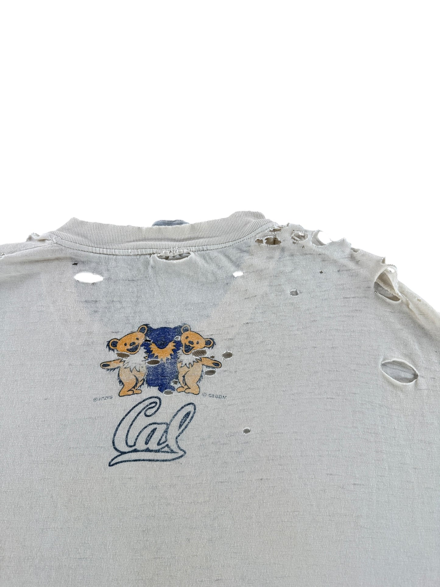Back Graphic of Vintage Distressed Cal Berkeley Grateful Dead Tee SZ L