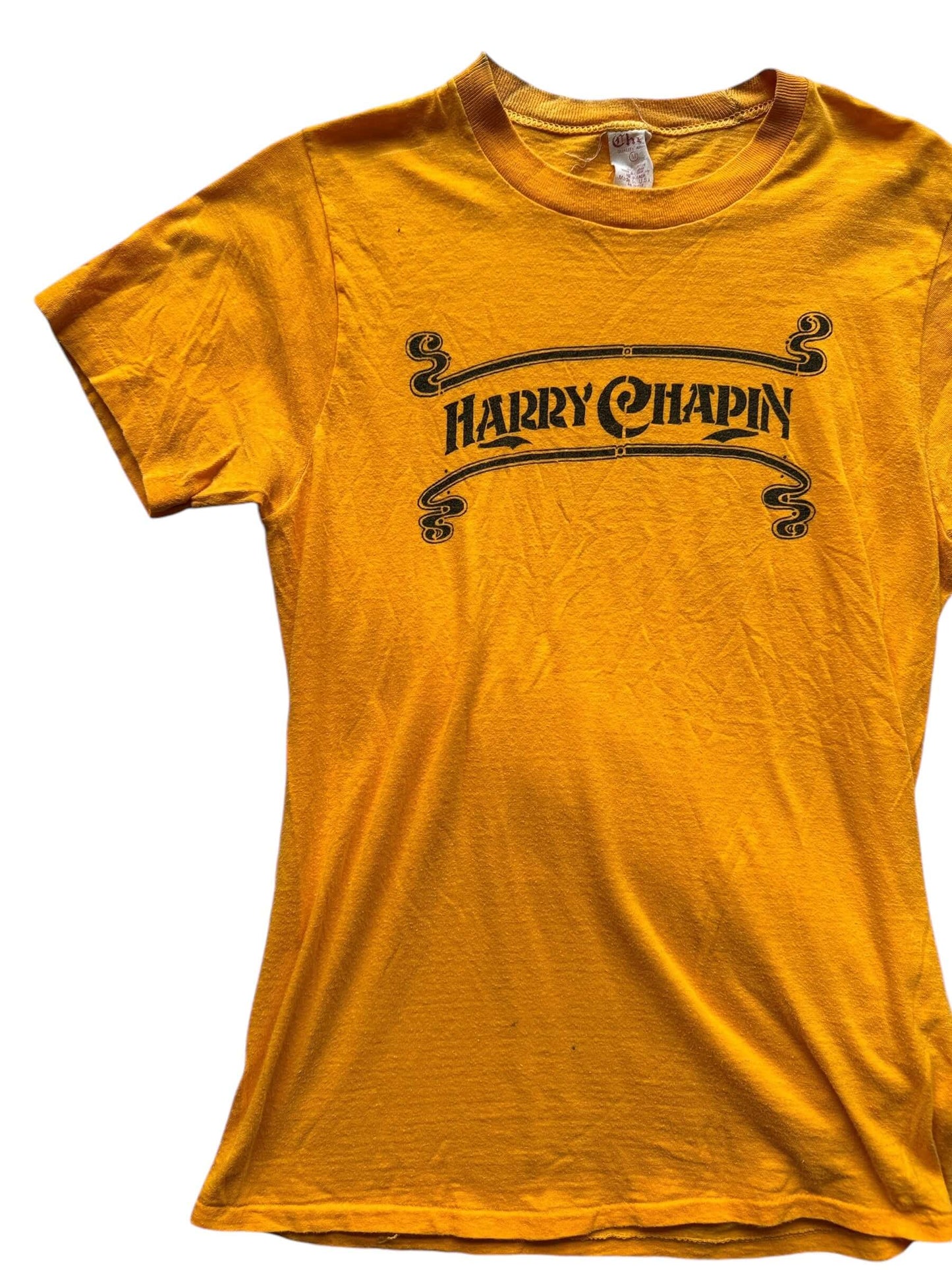 Front Right View of Vintage Harry Chapin Every Year Is World Hunger Year Tee M