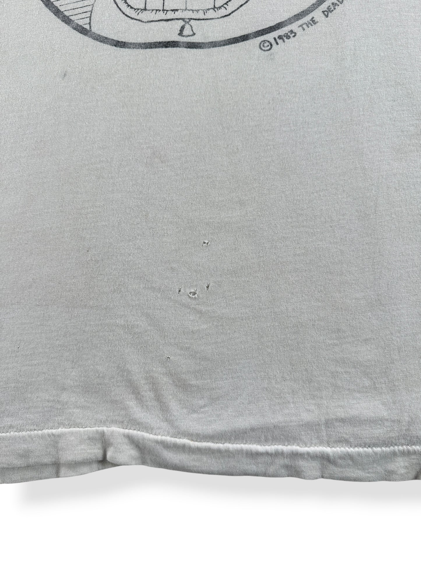 Holes on Vintage Dead Milkmen Metaphysical Graffiti Tee SZ L