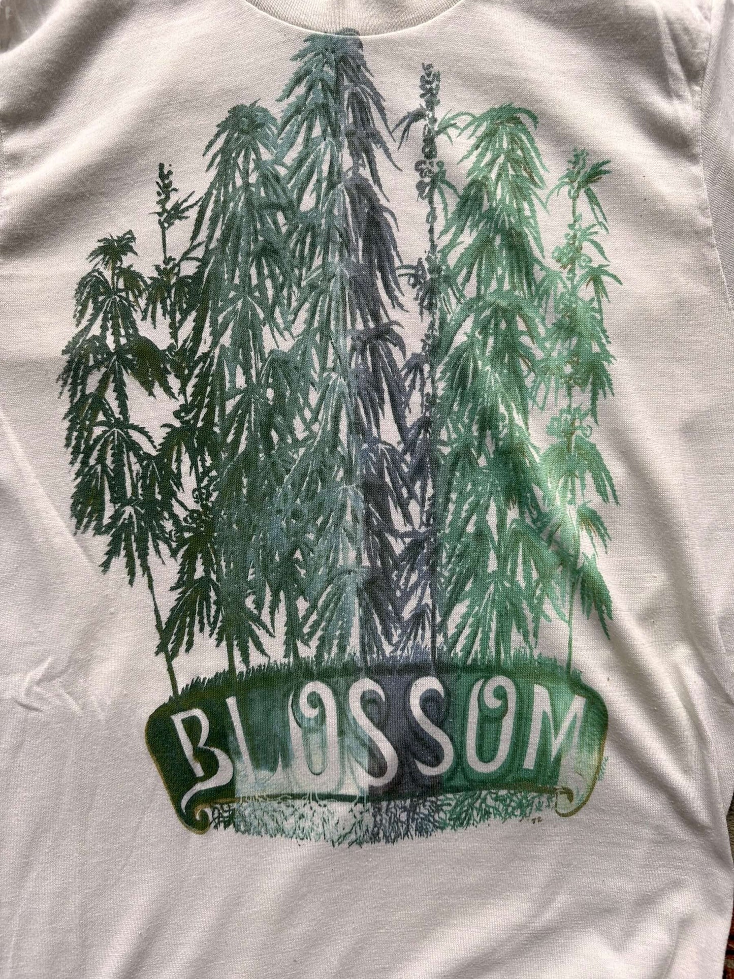 graphic on Vintage 70s Era "Blossom" Weed Tee SZ S |  Vintage Weed Tee Seattle | Barn Owl Vintage