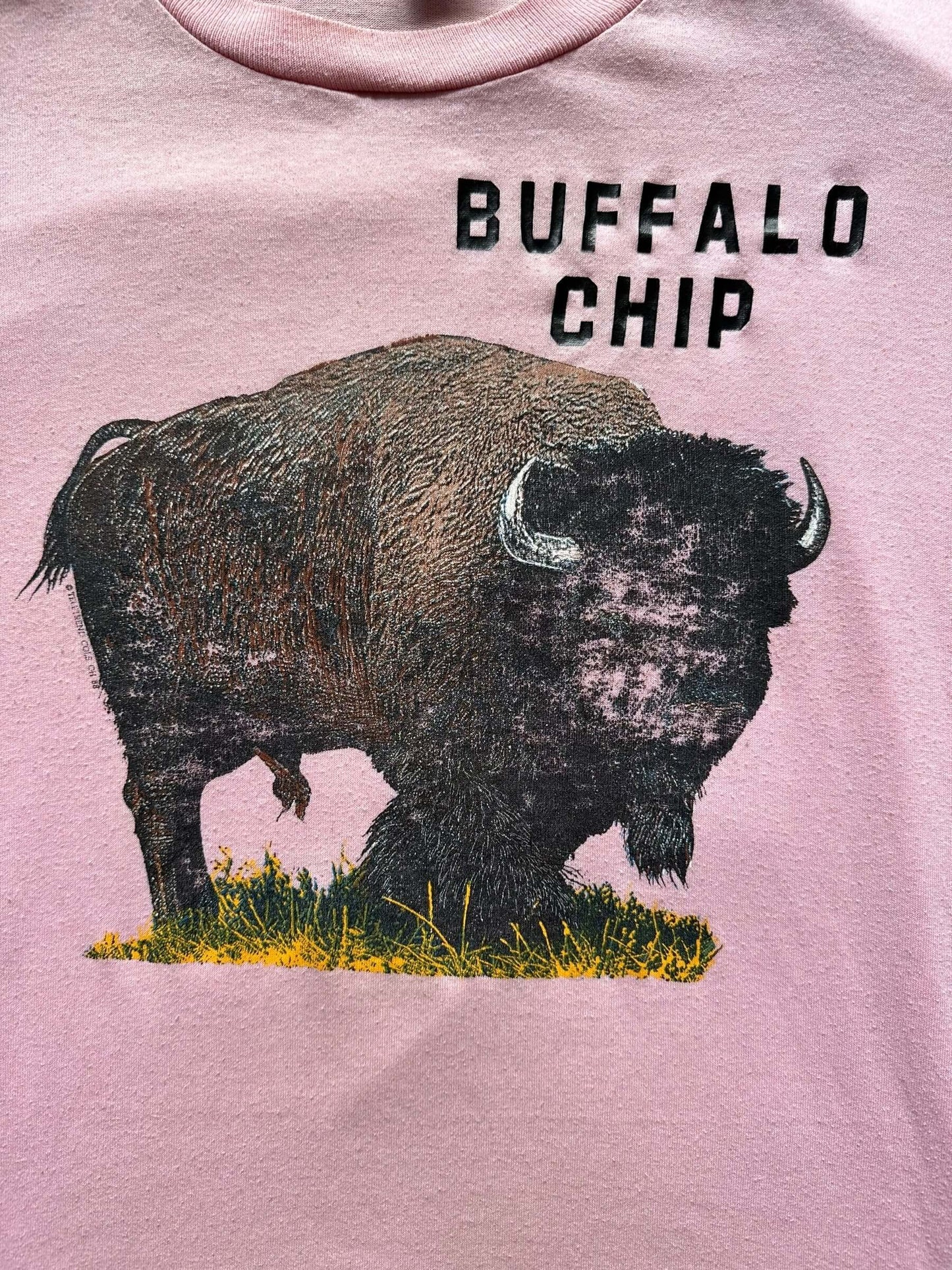 graphic on Vintage Buffalo Chip Tee SZ L