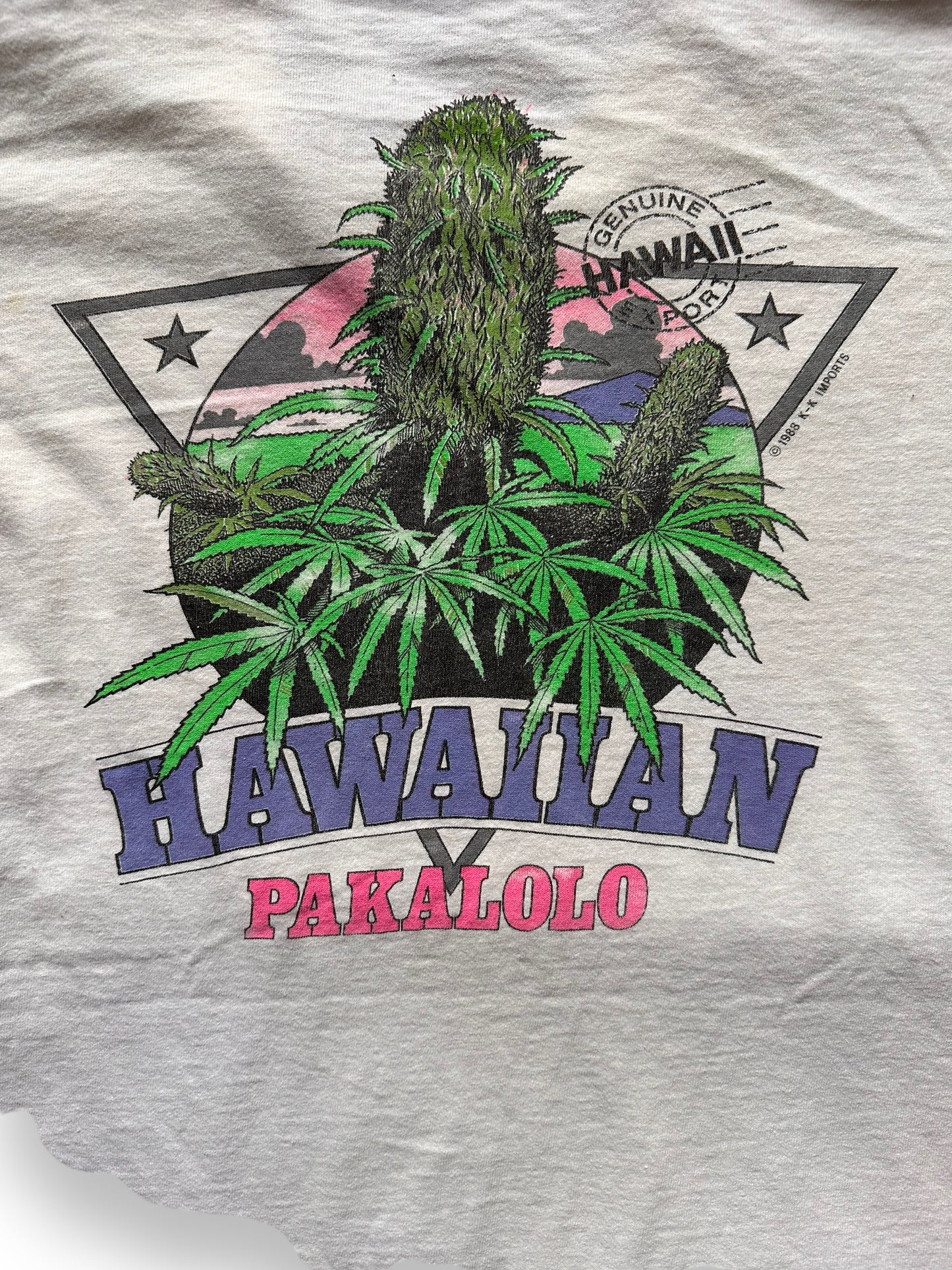 Back graphic of Vintage Hawaii Pakalolo Weed Tee SZ XL |  Vintage Tee Seattle | Barn Owl Vintage