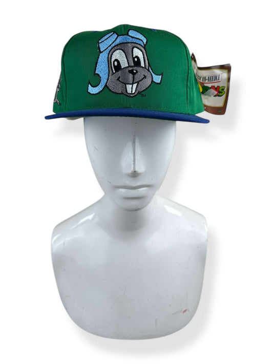 Front View of NOS American Needle Toons Rocky Raccoon Hat