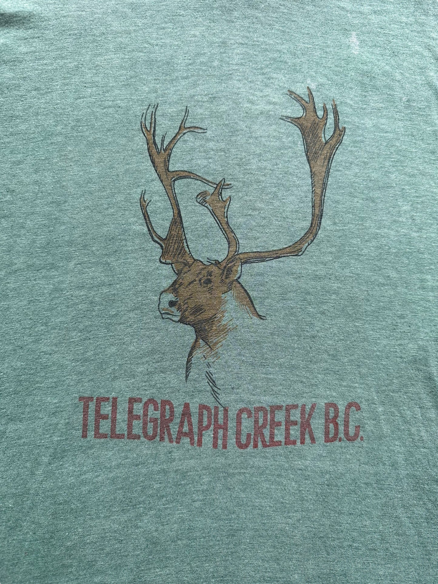 Graphic of Vintage Telegraph Creek BC Tee SZ M | Vintage Graphic Tee Seattle | Barn Owl Vintage