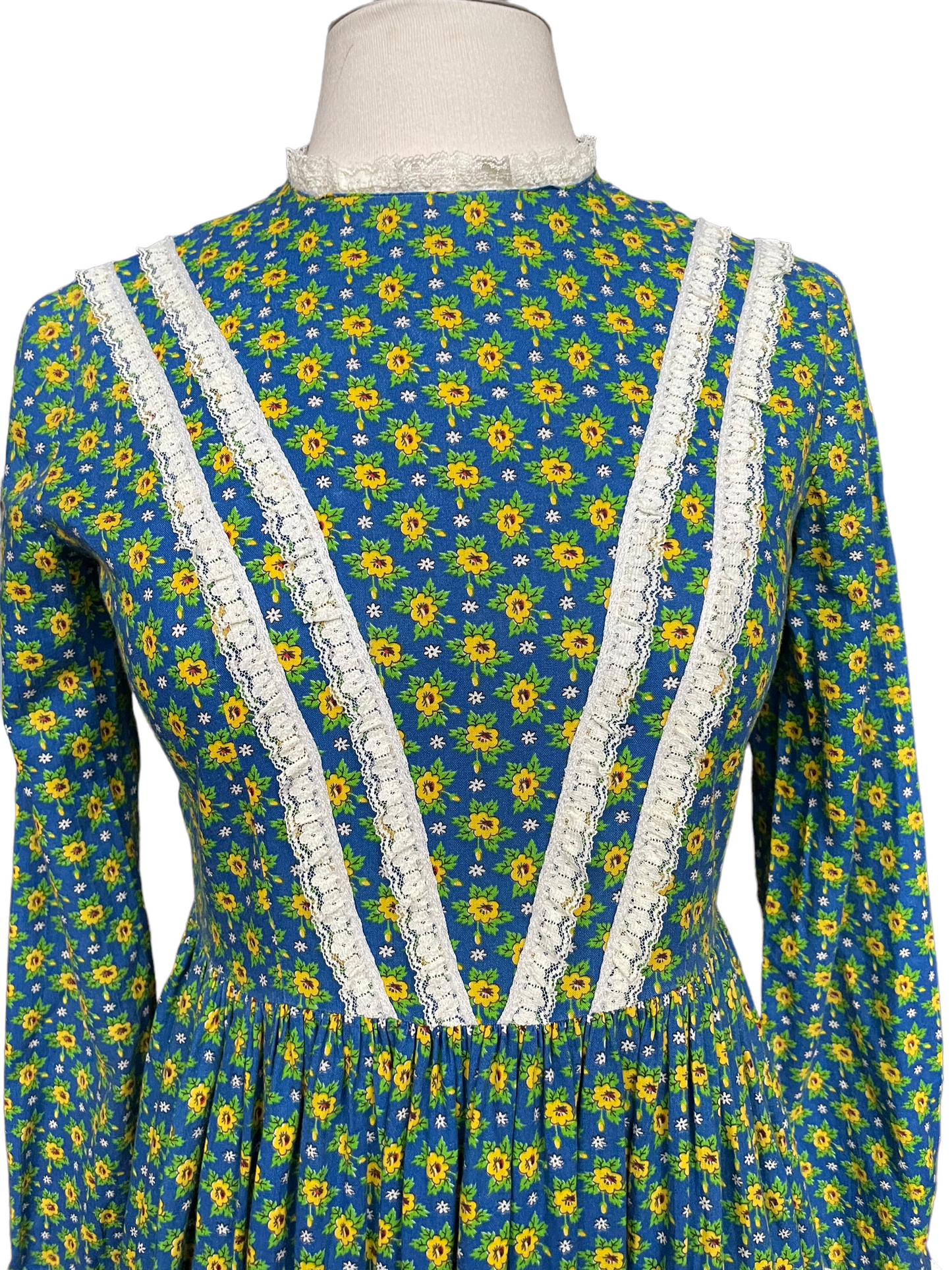 Full front chest view of Vintage 1970s Prairie Core Maxi Dress SZ S | Barn Owl Seattle | Vintage Ladies Dresses