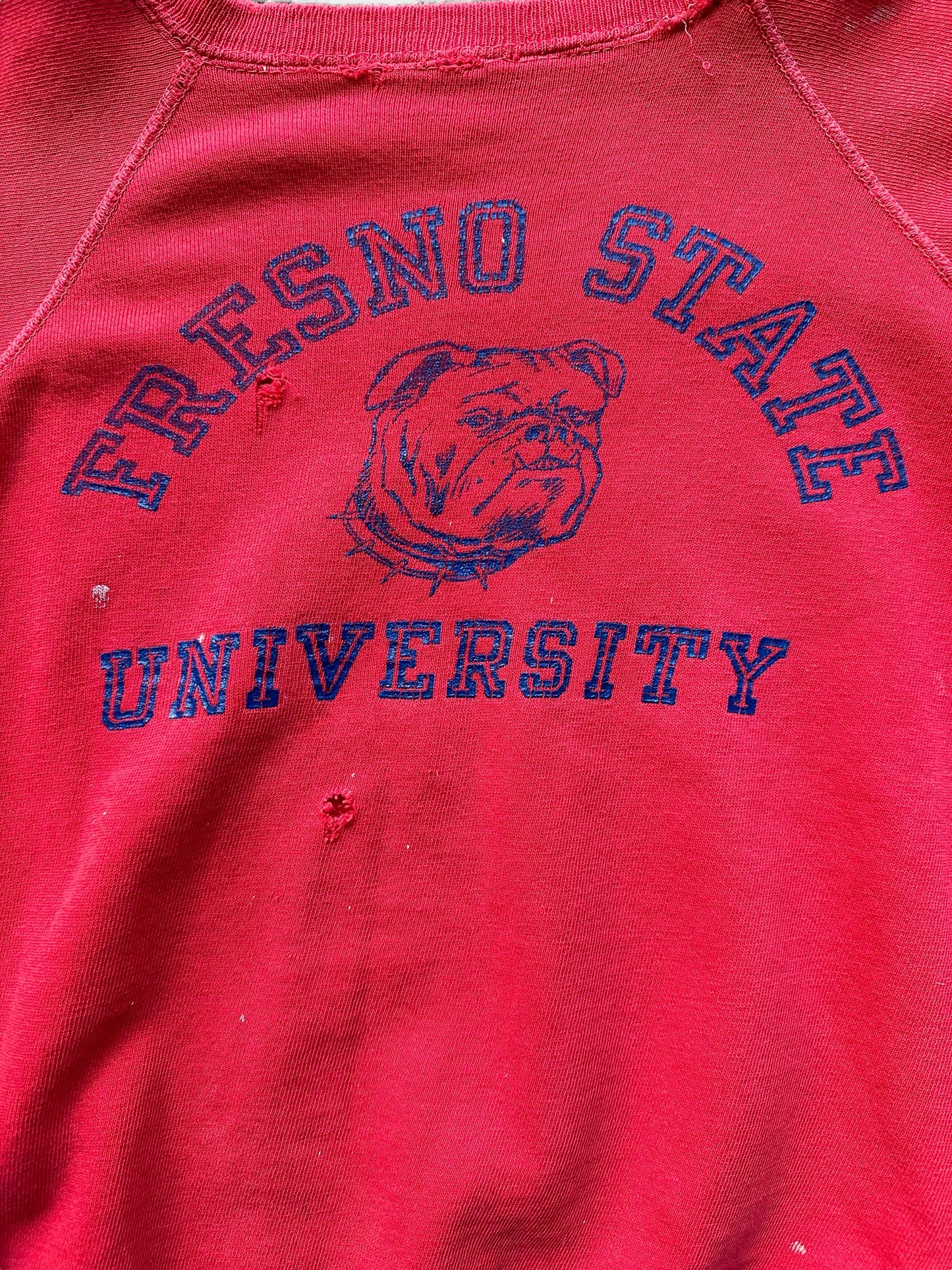 Graphic Detail on Vintage 70s Fresno State Champion Short Sleeve Crewneck SZ L | Vintage Crewneck Sweatshirts Seattle | Barn Owl Vintage Seattle